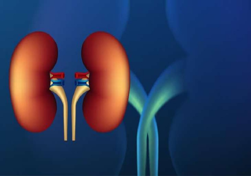 An Overview of the Different Levels of Chronic Kidney Disease